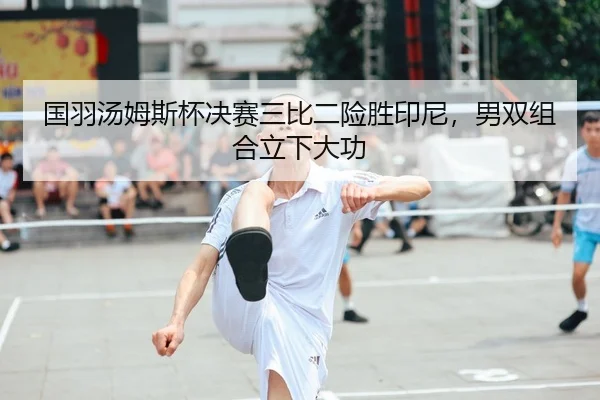 国羽汤姆斯杯决赛三比二险胜印尼，男双组合立下大功