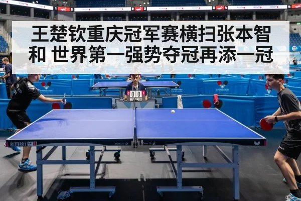 table tennis final match