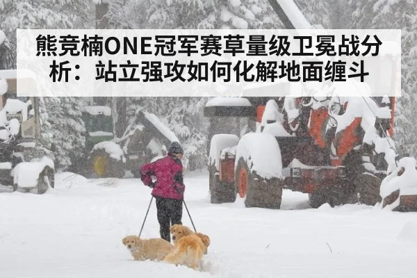 熊竞楠ONE冠军赛草量级卫冕战分析：站立强攻如何化解地面缠斗